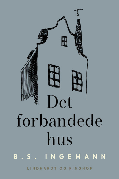 Omslag: Det forbandede hus