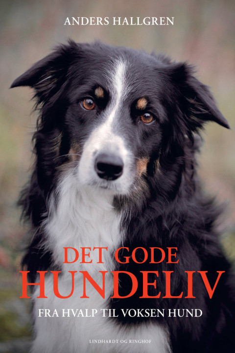 Omslag: Det gode hundeliv