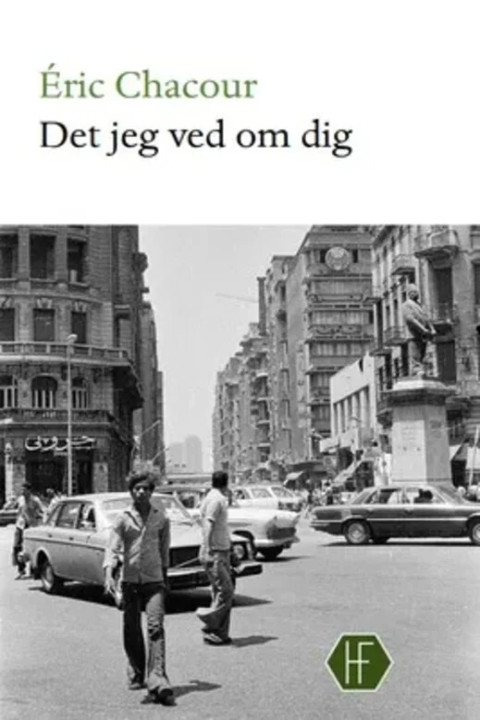 Omslag: Det jeg ved om dig