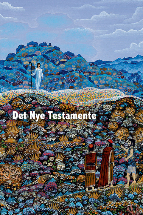 Omslag: Det Nye Testamente