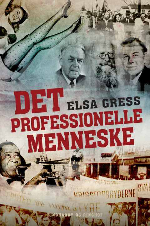Omslag: Det professionelle menneske