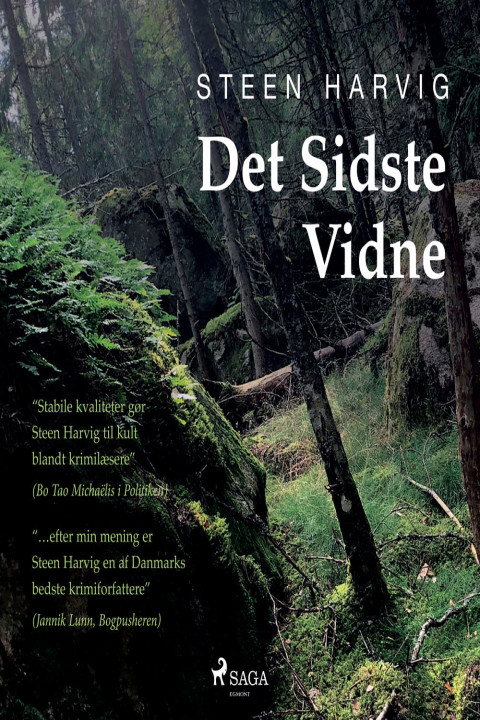 Omslag: Det sidste vidne
