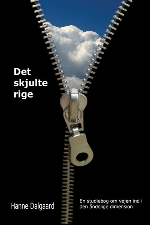 Omslag: Det skjulte rige