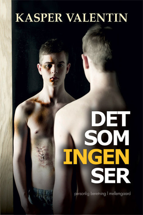 Omslag: Det som ingen ser