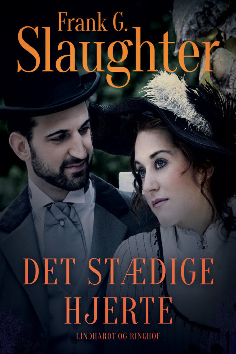 Omslag: Det stædige hjerte