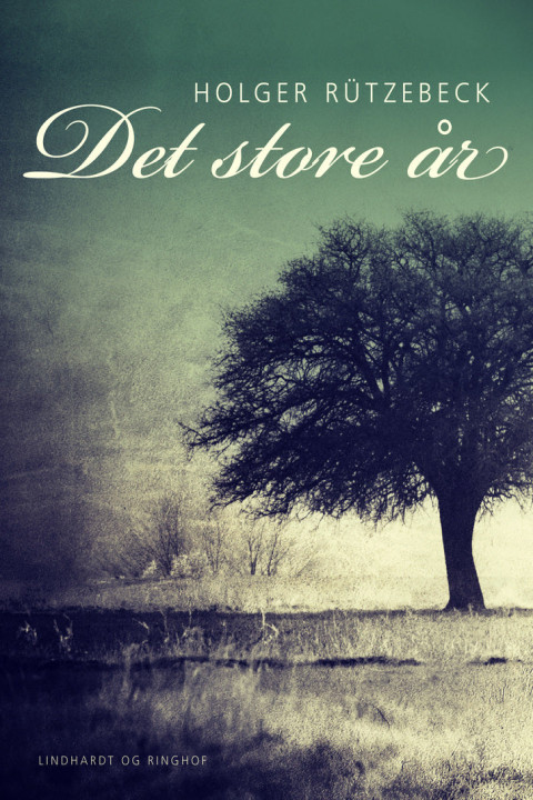 Omslag: Det store år