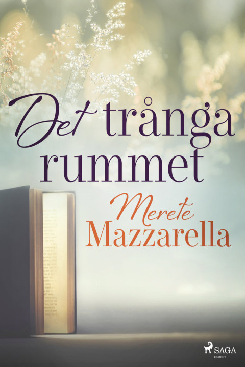 Omslag: Det trånga rummet
