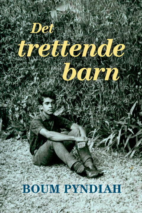 Omslag: Det trettende barn