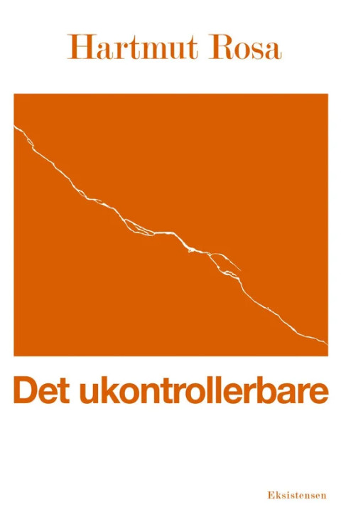 Omslag: Det ukontrollerbare