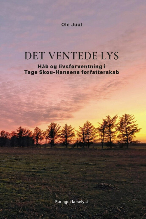 Omslag: Det ventede Lys