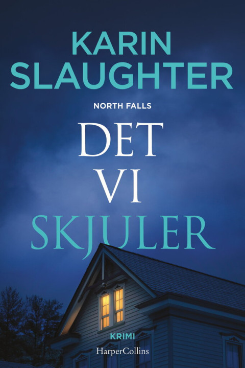 Omslag: Det vi skjuler