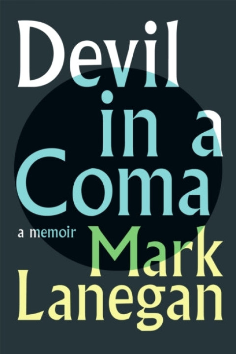 Omslag: Devil in a Coma