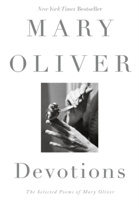 Omslag: Devotions