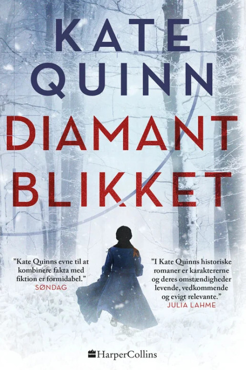 Omslag: Diamantblikket
