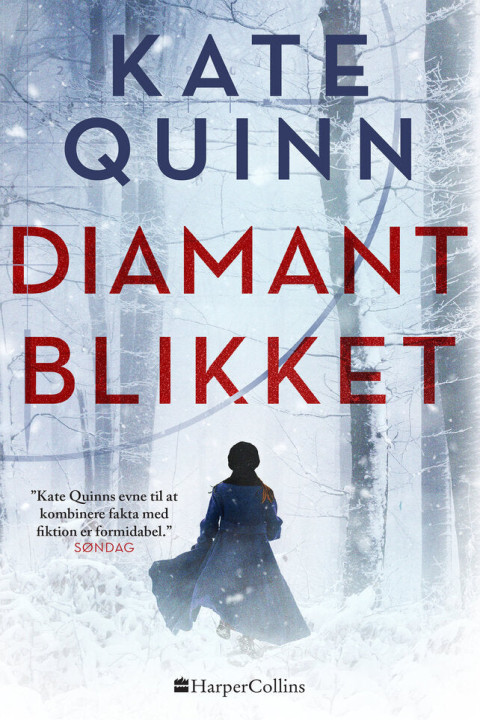 Omslag: Diamantblikket