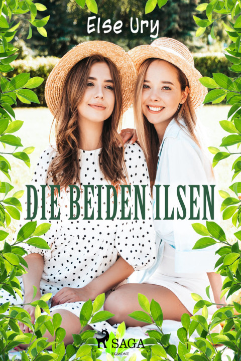 Omslag: Die beiden Ilsen