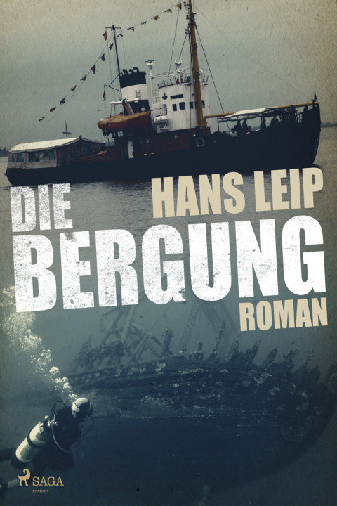 Omslag: Die Bergung