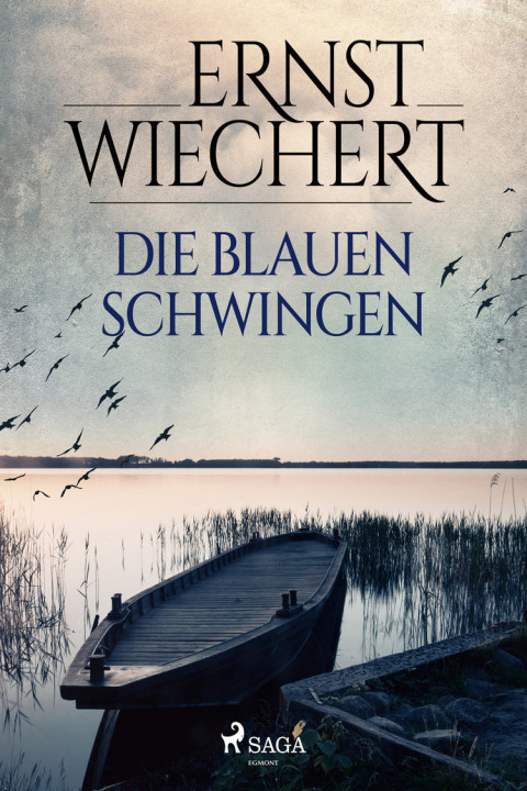 Omslag: Die blauen Schwingen