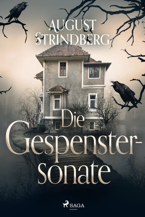 Omslag: Die Gespenstersonate