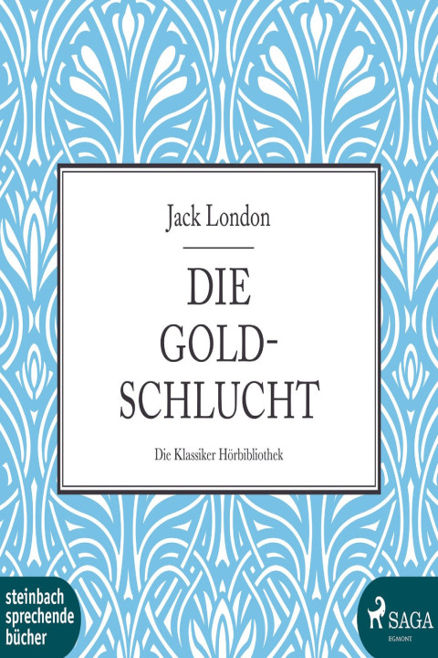 Omslag: Die Goldschlucht