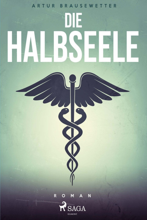 Omslag: Die Halbseele