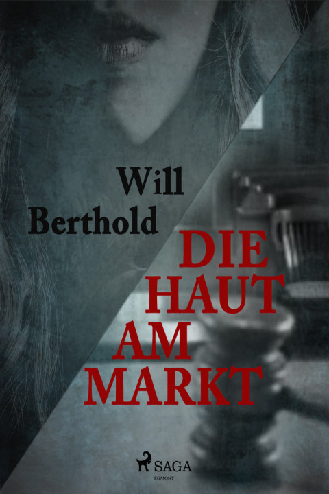 Omslag: Die Haut am Markt