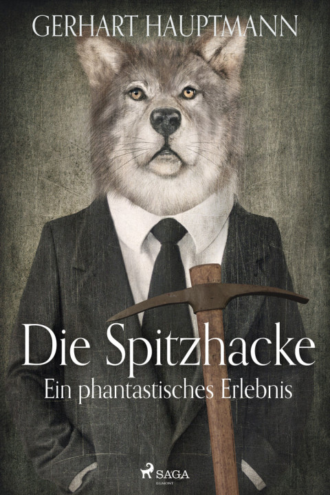 Omslag: Die Spitzhacke - Ein phantastisches Erlebnis