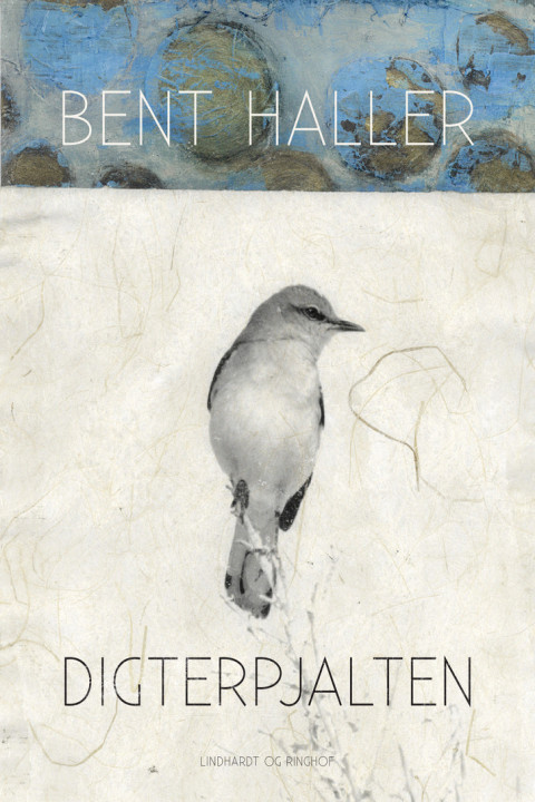 Omslag: Digterpjalten