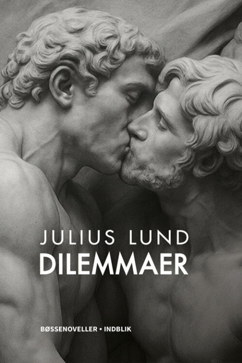 Omslag: Dilemmaer