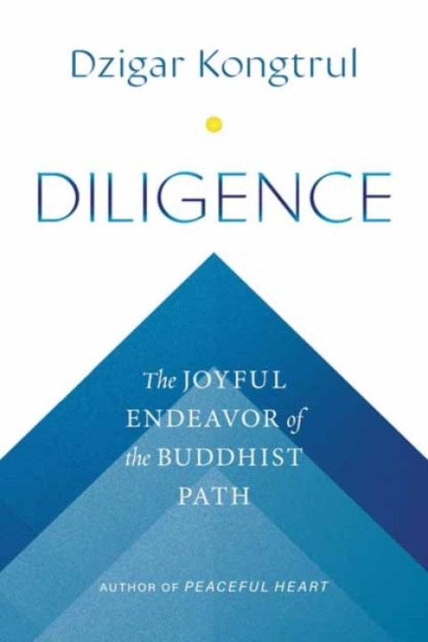 Omslag: Diligence