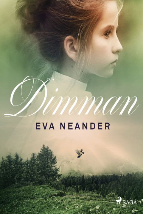 Omslag: Dimman
