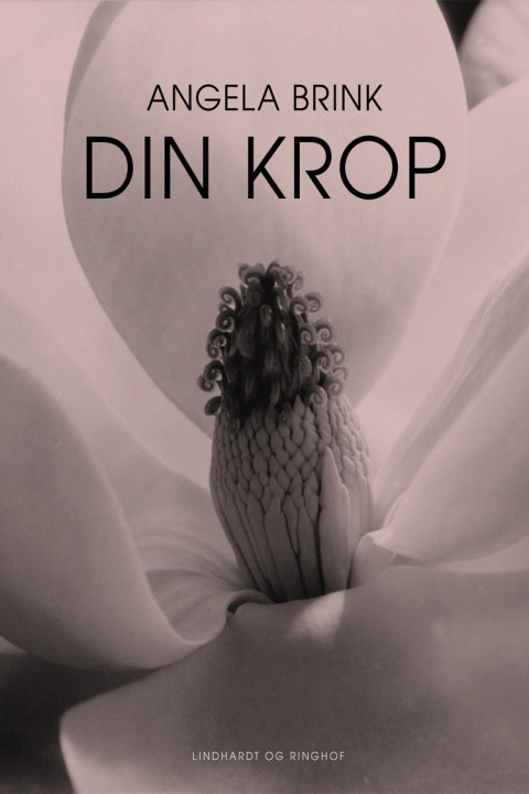 Omslag: Din krop