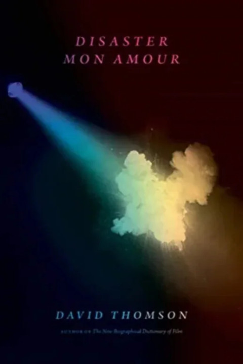 Omslag: Disaster Mon Amour