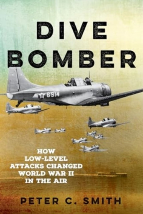 Omslag: Dive Bomber How Low-Level Attacks Changed World War Ii In Th