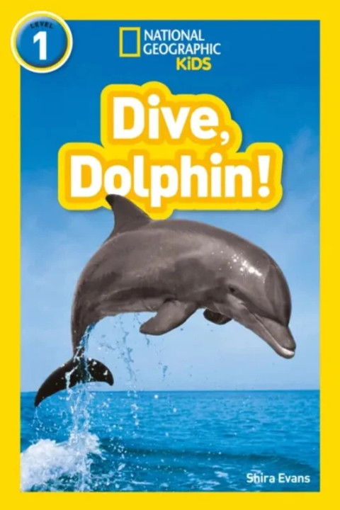 Omslag: Dive, Dolphin! - Level 1