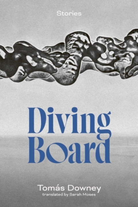 Omslag: Diving Board
