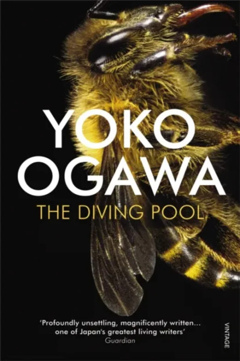 Omslag: Diving Pool