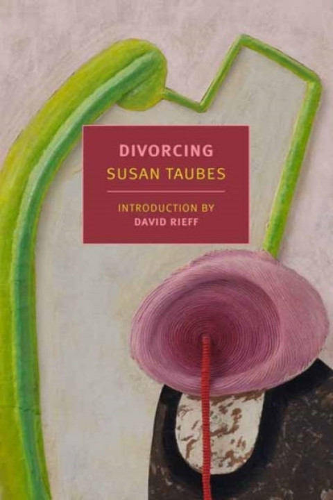 Omslag: Divorcing