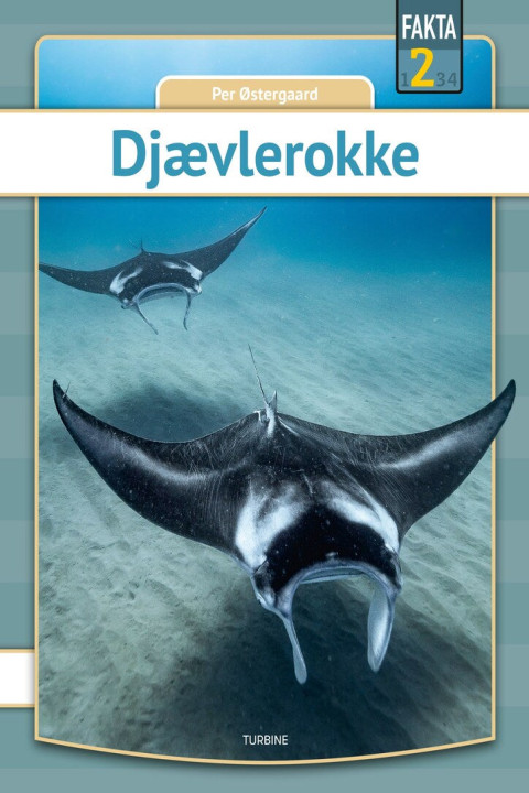 Omslag: Djævlerokke