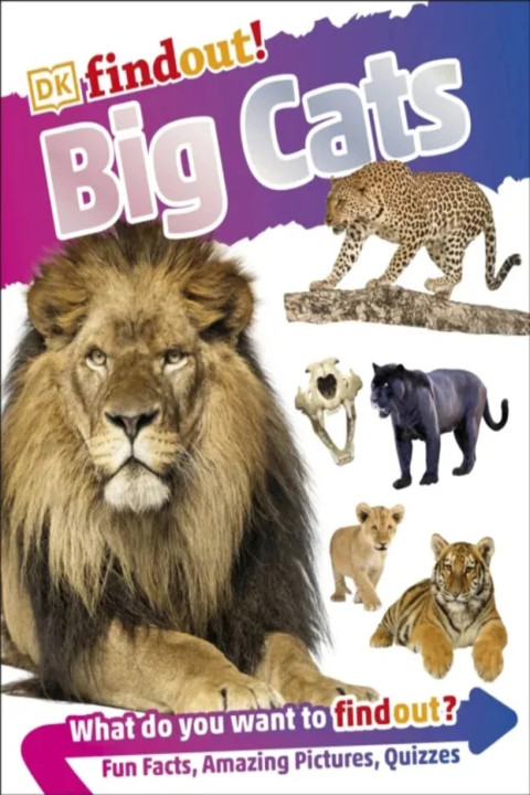 Omslag: DKfindout! Big Cats