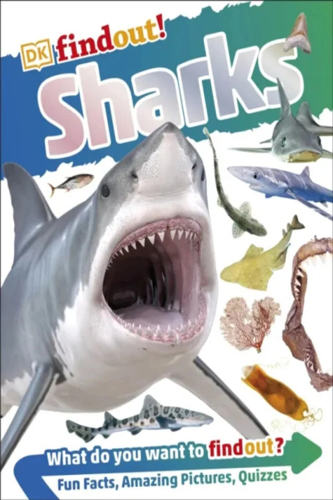 Omslag: DKfindout! Sharks