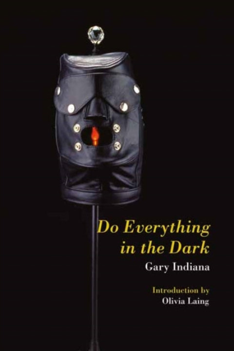 Omslag: Do Everything in the Dark