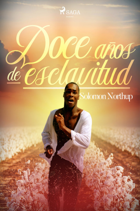 Omslag: Doce aÃ os de esclavitud
