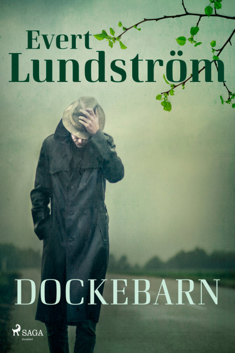Omslag: Dockebarn