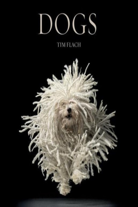 Omslag: Dogs