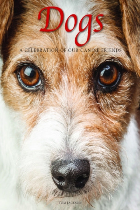 Omslag: Dogs
