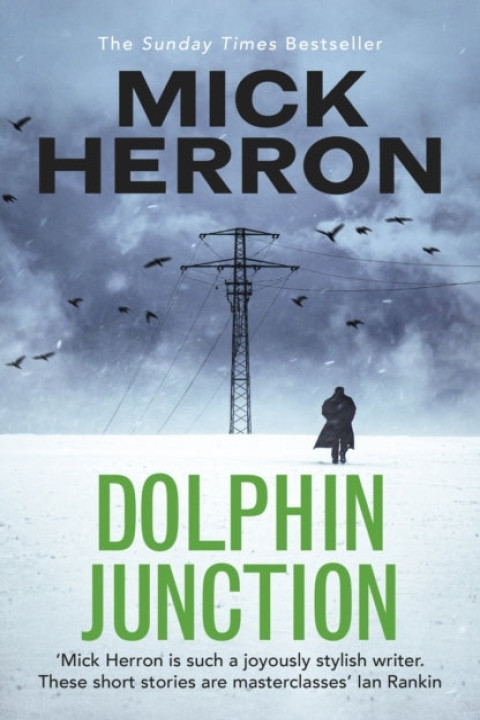 Omslag: Dolphin Junction