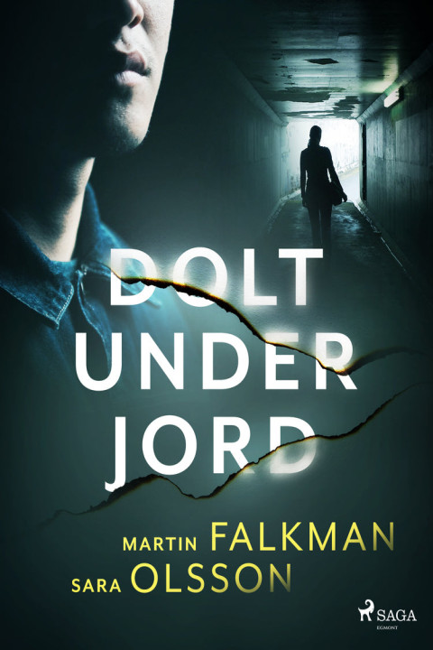 Omslag: Dolt under jord