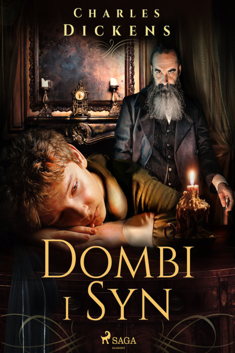 Omslag: Dombi i syn