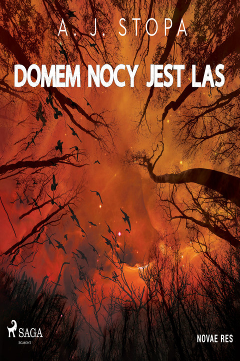 Omslag: Domem nocy jest las